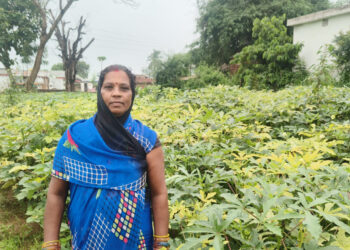 सब्जी उत्पादन से बदली किस्मत, लखपति बनीं आमटी गांव की केतकी दीदी