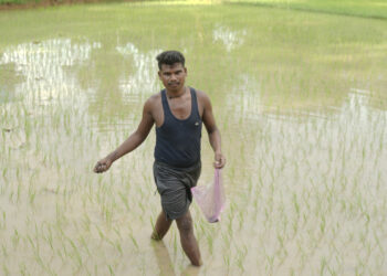 समय पर मिली खाद-बीज से युवा किसान बृजपाल की खेती हुई आसान