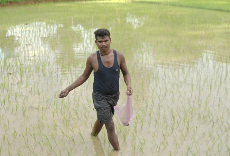 समय पर मिली खाद-बीज से युवा किसान बृजपाल की खेती हुई आसान