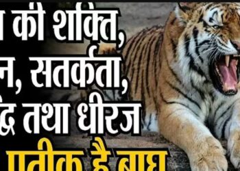 ग्लोबल टाइगर-डे पर छत्तीसगढ़ में बाघ संरक्षण और सामुदायिक भागीदारी पर होगी व्यापक जागरूकता कार्यक्रम