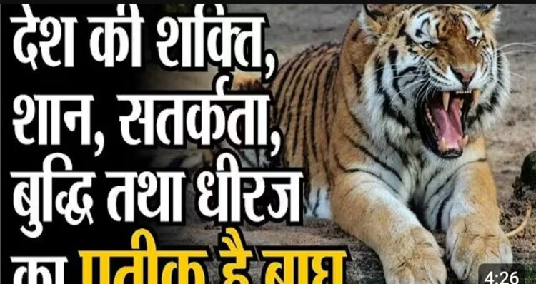 ग्लोबल टाइगर-डे पर छत्तीसगढ़ में बाघ संरक्षण और सामुदायिक भागीदारी पर होगी व्यापक जागरूकता कार्यक्रम