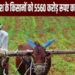 खरीफ सीजन 2025 : प्रदेश के किसानों को 5560 करोड़ रूपए का अल्पकालीन कृषि ऋण वितरित