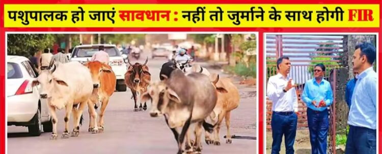 सड़कों में पशुओं को खुला छोड़ने पर पशु मालिकों को होगी सजा और जुर्माना