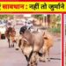 सड़कों में पशुओं को खुला छोड़ने पर पशु मालिकों को होगी सजा और जुर्माना