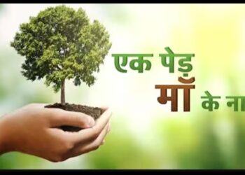 राष्ट्रीय सेवा योजना इकाई के सौजन्य से एक पेड़ मां के नाम पर 2 हजार पौधों का रोपण