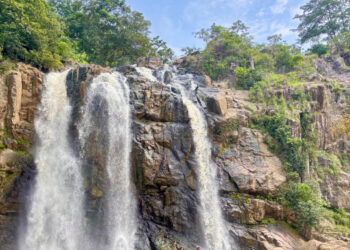 वैश्विक स्तर पर पर्यटन के क्षेत्र में नई पहचान स्थापित कर रहा है गौरेला-पेंड्रा-मरवाही जिला