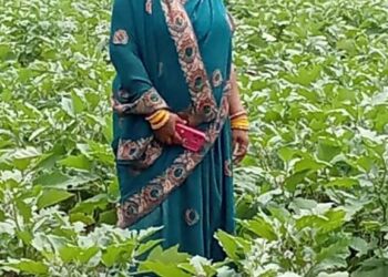 बिहान योजना से अनीता के सपनों को मिली उड़ान