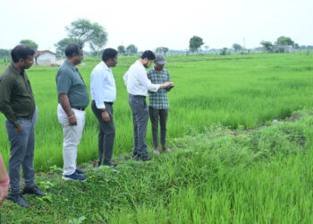 डिजिटल क्रॉप सर्वे की जानकारी लेने कलेक्टर पहुंचे खेतों में