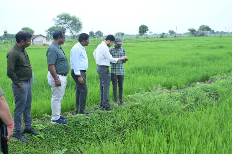 डिजिटल क्रॉप सर्वे की जानकारी लेने कलेक्टर पहुंचे खेतों में