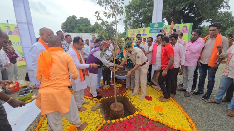 एक पेड़ मां के नाम 2.0 पौधारोपण के लक्ष्य को साय सरकार ने किया पूरा: वनमंत्री  केदार कश्यप