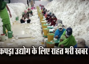 भारतीय कपड़ा निर्यातकों के लिए सरकार का बड़ा फैसला, कपास पर आयात शुल्क छूट 31 दिसंबर 2025 तक बढ़ाई…