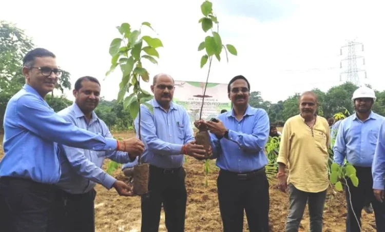 जिंदल पावर लिमिटेड तमनार में ’मियांवाकी पद्धति’ से सघन वृक्षारोपण अभियान