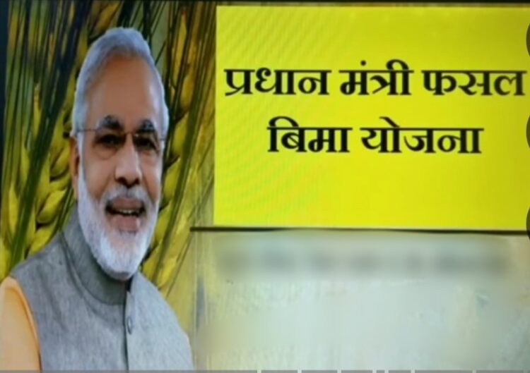 उत्तर बस्तर कांकेर : फसल बीमा’ कराने की अवधि बढ़ी, 14 अगस्त तक कराई जा सकती है फसल बीमा