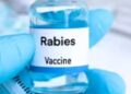 बस्तर संभाग में एंटी रेबीज वैक्सीन की पर्याप्त उपलब्धता