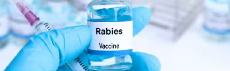 बस्तर संभाग में एंटी रेबीज वैक्सीन की पर्याप्त उपलब्धता