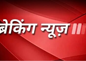 बी.एड., डी.एल.एड., बी.ए.बी.एड तथा बी.एस.सी.बी.एड. पाठ्यक्रम 2025 में प्रवेश हेतु ऑनलाइन आबंटन हेतु सूची जारी