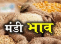 अनाज और दालों के दाम में फिर हुआ बदलाव,यहां देखें 25 अगस्त के ताजा मंडी भाव!