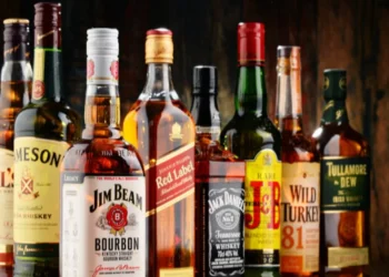 छत्तीसगढ़ के इस गांवों के ग्रामीणों ने किया पूर्ण शराब बंदी का फैसला, पीने और बेचने पर भारी जुर्माना..