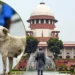 आवारा कुत्तों पर सुप्रीम कोर्ट का फैसला, शेल्टर होम भेजे गये कुत्ते किए जाएंगे रिहा…