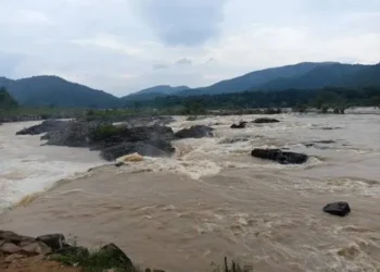 छत्तीसगढ़ में बाढ़ का कहर; मंदिर दर्शन के दौरान बहे 4 बच्चे नाले में बहे, 3 की मौत, एक लापता
