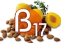 Vitamin बी17 किस फल में पाया जाता है, इसके स्वास्थ्य लाभों के लिए पढ़े ये खबर…