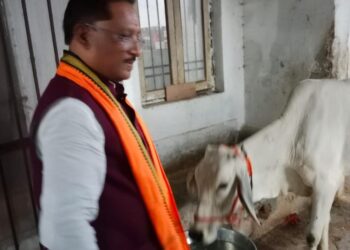 गौ-सेवा से ही मिलती है सच्ची शांति और ऊर्जा : मुख्यमंत्री  विष्णु देव साय