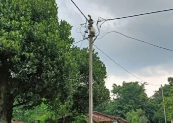 मुख्यमंत्री विष्णुदेव साय ने दी 58 लाख की स्वीकृति, जशपुर के 13 गांवों में बिखरेगी रौशनी