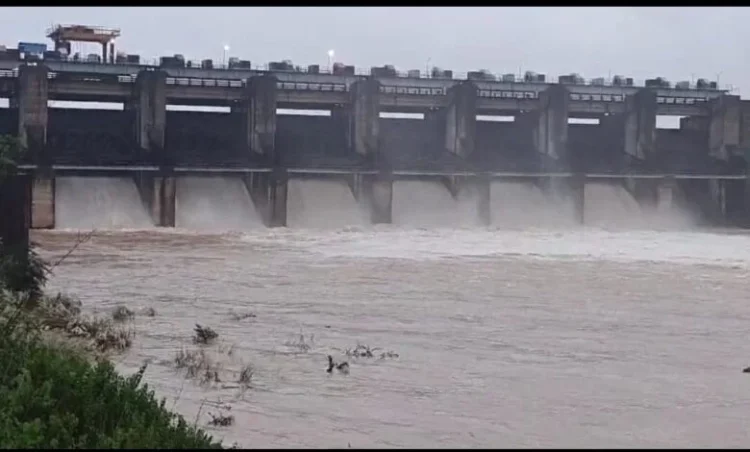 बारिश से केलो डैम का जलस्तर बढ़ा, 6 गेट खोले गए