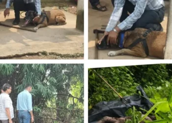 खरसिया हत्याकांड का खौफनाक खुलासा फोरेंसिक टीम की जांच में दहला देने वाला खुलासा, जमीन में दफन मिले पूरे परिवार के शव क्या कहते हैं SP साहब देख पूरी वीडियो