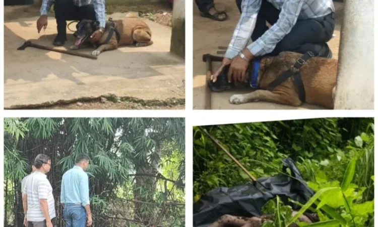 खरसिया हत्याकांड का खौफनाक खुलासा फोरेंसिक टीम की जांच में दहला देने वाला खुलासा, जमीन में दफन मिले पूरे परिवार के शव क्या कहते हैं SP साहब देख पूरी वीडियो