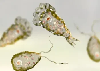 भारत में तेजी से फैल रही है दिमाग खाने बाली अमीबा बीमारी, अब तक 18 लोगों की मौत..