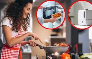 क्या माइक्रोवेव या एयर फ्रायर का खाना Cancer का कारण है, जानिए कौन सा खाना आपके लिए हेल्दी है?