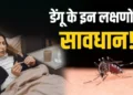 डेंगू के मच्छर के काटने के बाद शरीर में दिखाई देते हैं ये लक्षण, तुरंत कराएं चेकअप; लापरवाही पड़ सकती है भारी