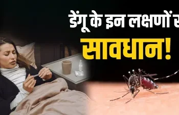 डेंगू के मच्छर के काटने के बाद शरीर में दिखाई देते हैं ये लक्षण, तुरंत कराएं चेकअप; लापरवाही पड़ सकती है भारी