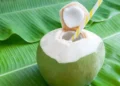 रोज सुबह इस तरह पिएं नारियल पानी, शरीर को मिलेंगे गजब के फायदे…