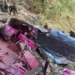 भीषण सड़क हादसा; 1000 फुट गहरी खाई में गिरी यात्रियों से भरी बस, 15 की मौत, 30 से ज्यादा घायल