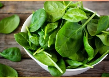 पालक रोज खाने से शरीर को मिलते हैं ये 5 बड़े फायदे…
