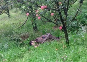 सुरक्षाबलों और आतंकियों के बीच मुठभेड़ में 2 आतंकी ढेर; दो जवान बलिदान…