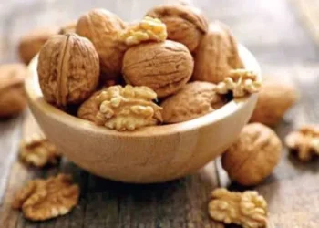 अखरोट के सेवन से शरीर के कई अंगों को मिलते है जबरदस्त फायदे, जाने खाने का सही तरीका और समय!