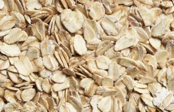 सुबह नाश्ते में ओट्स खाने से सेहत को मिलते हैं कई चौंकाने वाले फायदे, जानें खाने का सही तरीका