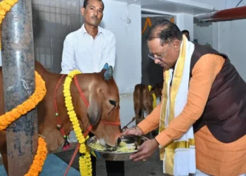 गोवर्धन पूजा के अवसर पर मुख्यमंत्री ने किया गौपूजन, प्रदेशवासियों की सुख-समृद्धि की कामना की