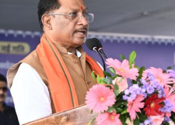 मुख्यमंत्री विष्णुदेव साय ने दीपावली और गोवर्धन पूजा की दी हार्दिक शुभकामनाएं