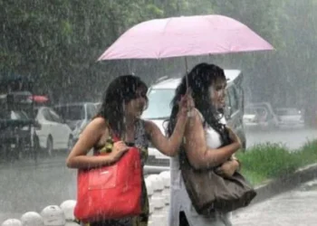 छत्तीसगढ़ में फिर सक्रिय हुआ मानसून, अगले 2 दिनों तक भारी बारिश के आसार… IMD ने जारी किया अलर्ट