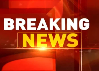 छत्तीसगढ़ के इस जिले में मधुमक्खियों के जानलेवा हमले से 2लोगों की दर्दनाक मौत, इलाके में बना दहशत का माहौल!