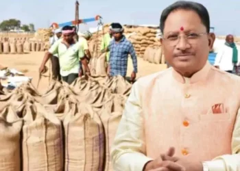CM साय ने किया ऐलान, 15 नवंबर से शुरू होगी धान खरीदी