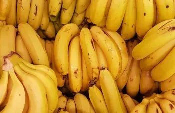 रोज सुबह खाली पेट केला खाने से शरीर को मिलते हैं 5 बड़े फायदे, हार्ट से लेकर हड्डियों तक रहती है स्वस्त