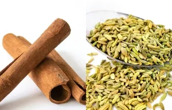 सुबह खाली पेट सौंफ और दालचीनी का पानी पीने से शरीर को मिलते हैं गजब के फायदे, जानें पीने का सही तरीका