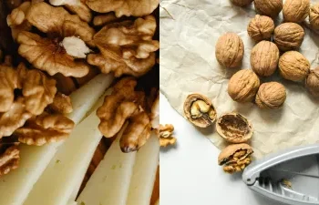 अखरोट खाने से शरीर को मिलते हैं 5 बड़े फायदे, डायबीटीज रहेगा कंट्रोल और हड्डियां मजबूत