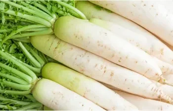 मूली खाने से शरीर को मिलते हैं ये गजब के फायदे, आज ही करें डाइट में शामिल