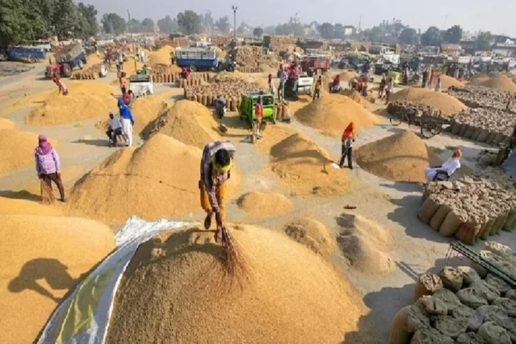 छत्तीसगढ़ में धान खरीदी शुरू होने से पहले साय सरकार का बड़ा फैसला, समिति प्रबंधकों को नौकरी से निकालने का दिया आदेश